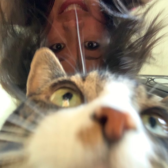 catswithbacon